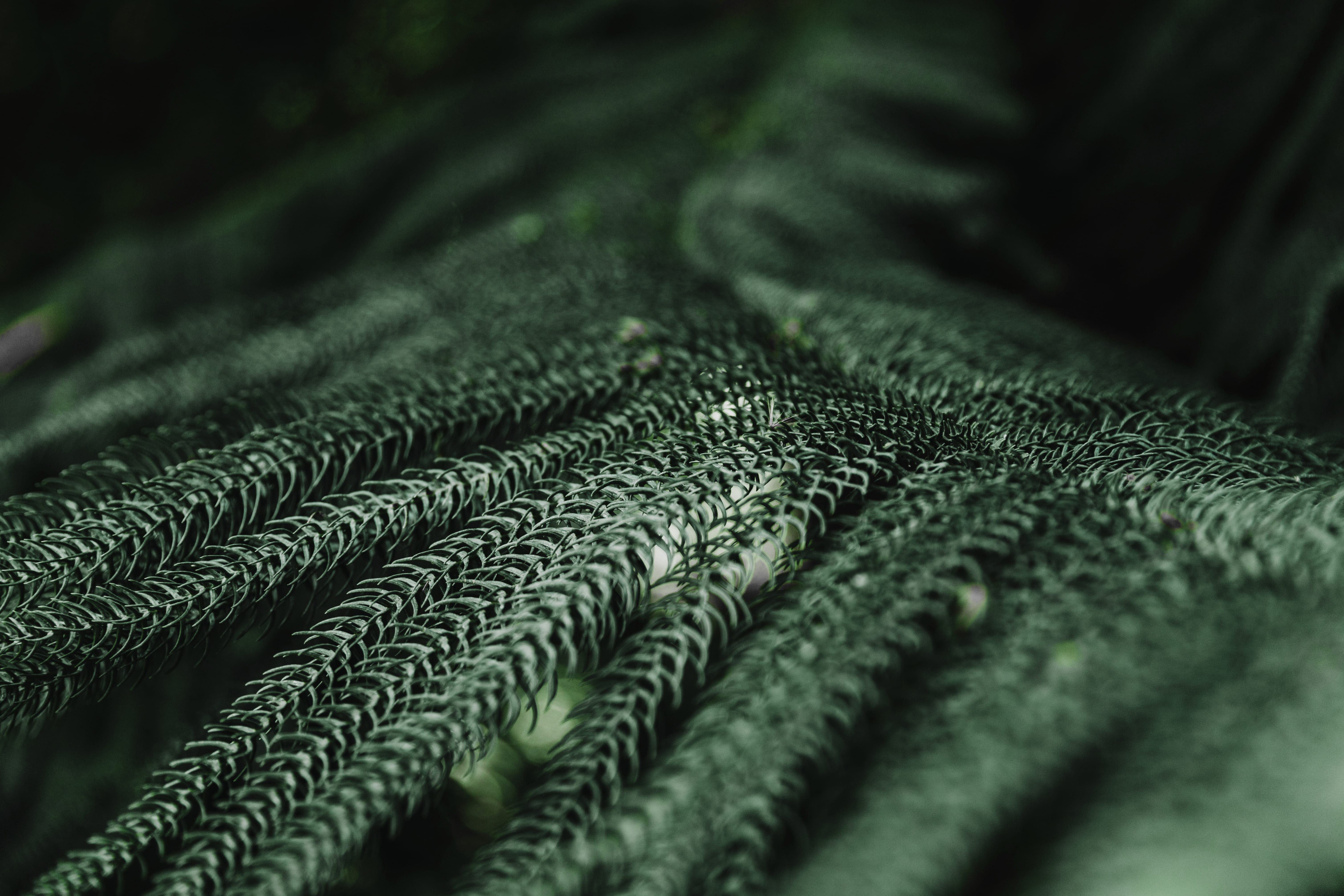 Eco-Friendly Fabrics